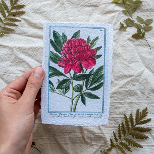 Botaninis printukas BIJŪNAS, 10x15