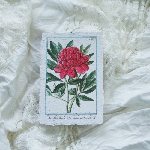 Botaninis printukas BIJŪNAS, 10x15
