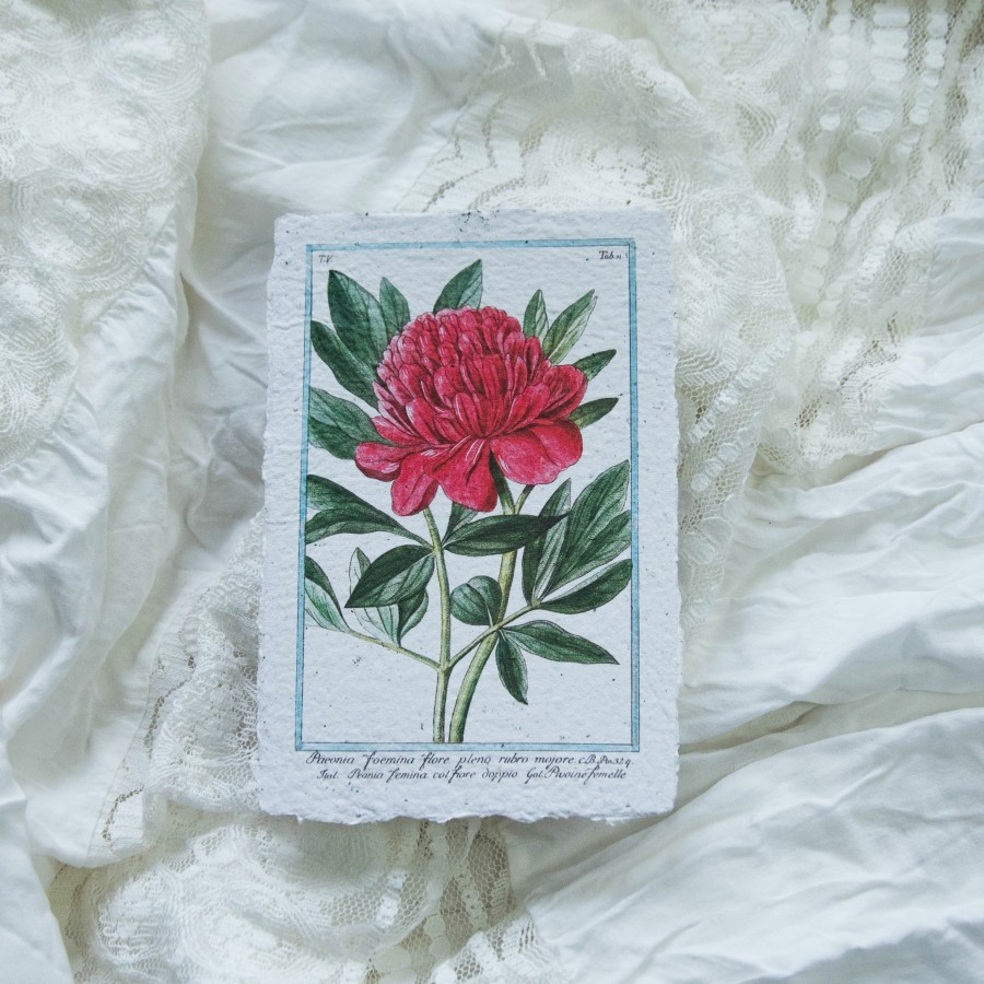 Botaninis printukas BIJŪNAS, 10x15 Botaninis printukas BIJŪNAS, 10x15