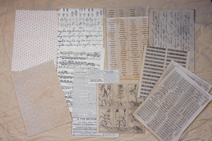 Lapų rinkinys kūrybai Lapų rinkinys kūrybai