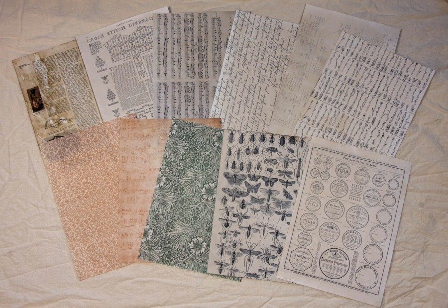 Lapų rinkinys kūrybai Lapų rinkinys kūrybai