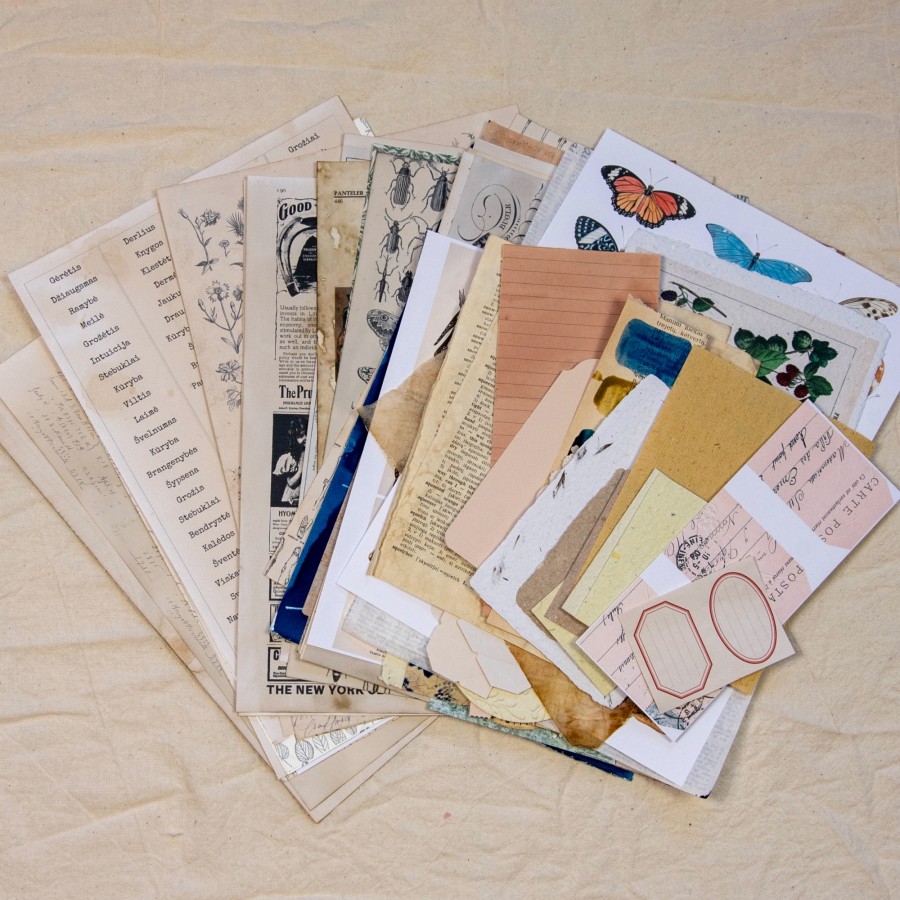 Lapų rinkinys kūrybai Lapų rinkinys kūrybai