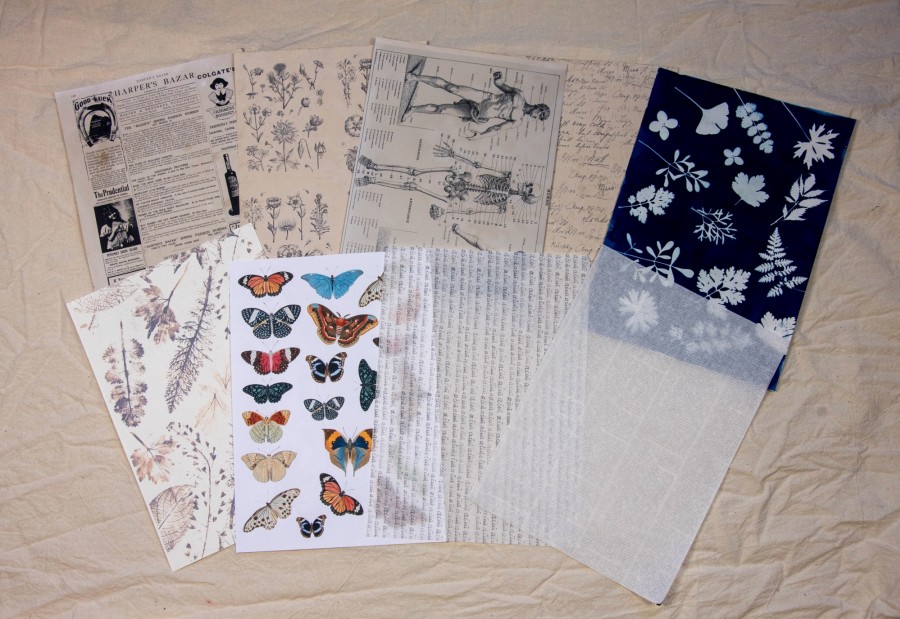 Lapų rinkinys kūrybai Lapų rinkinys kūrybai