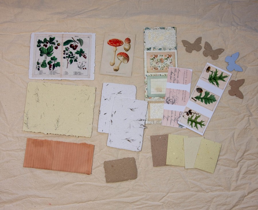 Lapų rinkinys kūrybai Lapų rinkinys kūrybai