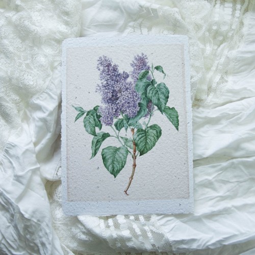 Printas ALYVOS, A5