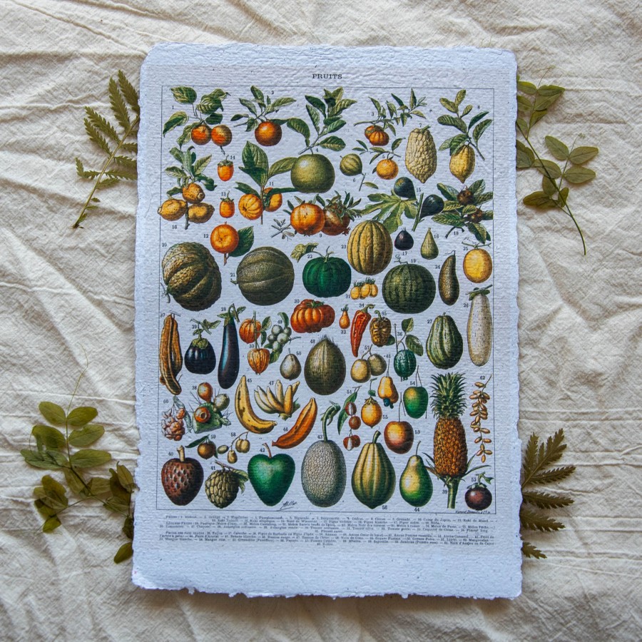 Printas DARŽOVĖS, ~A4