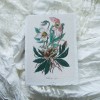 Printas BALTAŽIEDIS ELEBORAS, 15x21 Printas BALTAŽIEDIS ELEBORAS, 15x21