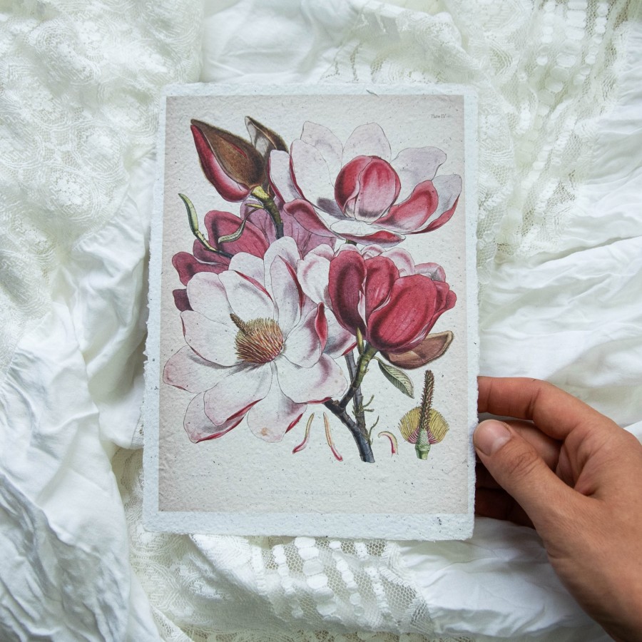 Printas MAGNOLIJA, 15x21