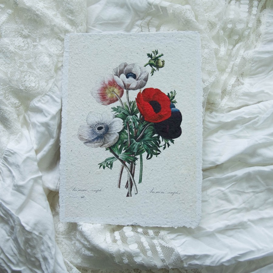 Printas PLUKĖS, 15x21 Printas PLUKĖS, 15x21