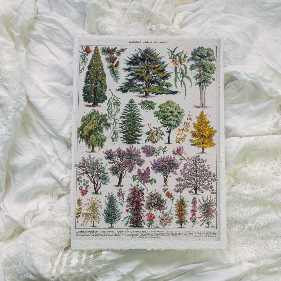 Printas SODO MEDŽIAI, A4 Printas SODO MEDŽIAI, A4