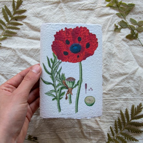 Printukas AGUONA, 10x15