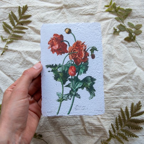 Printukas AGUONOS, 10x15