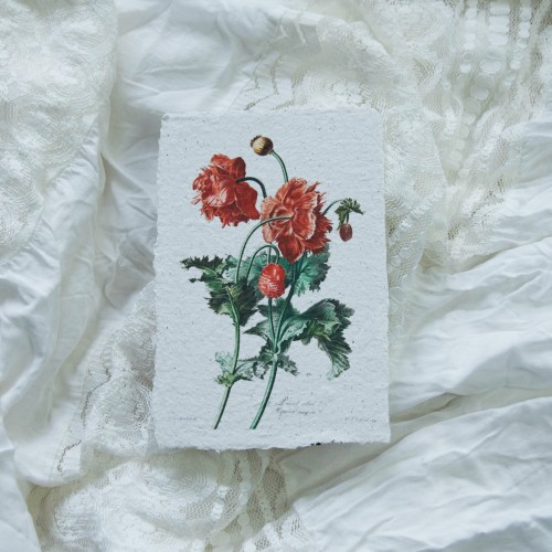 Printukas AGUONOS, 10x15
