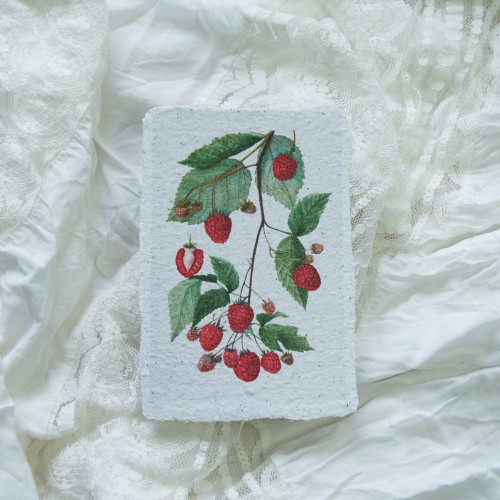 Printukas AVIETĖS, 10x15
