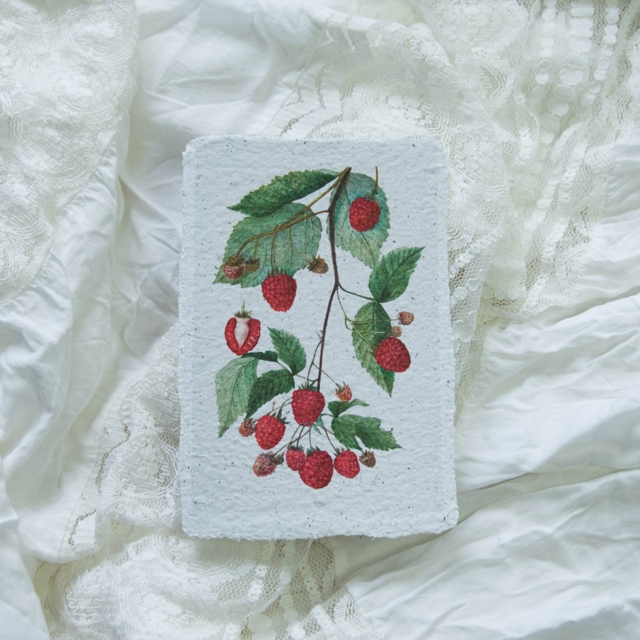 Printukas AVIETĖS, 10x15 Printukas AVIETĖS, 10x15