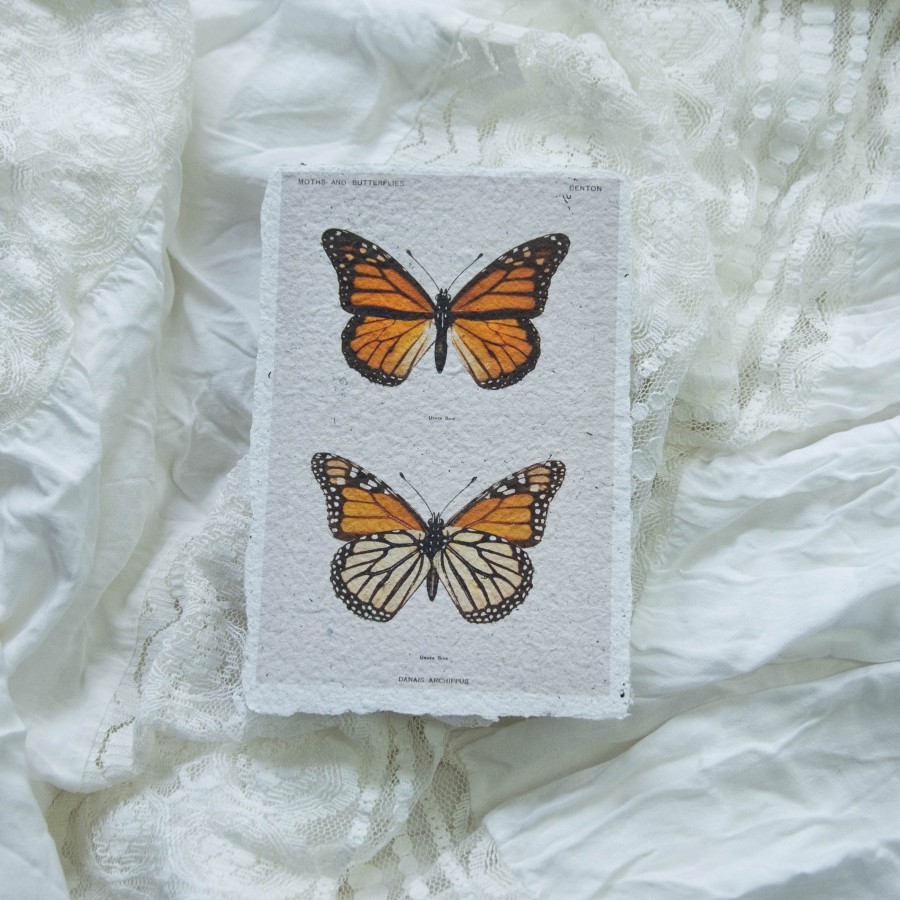 Printukas DRUGELIS MONARCHAS, 10x15