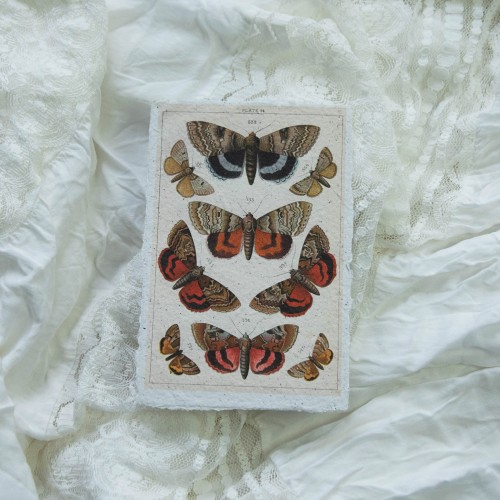 Printukas DRUGIAI, 10x15