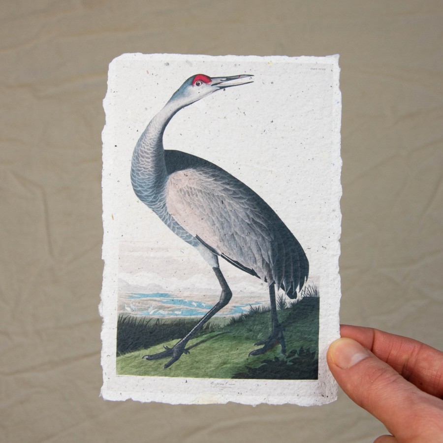 Printukas GERVĖ, 10x15 Printukas GERVĖ, 10x15