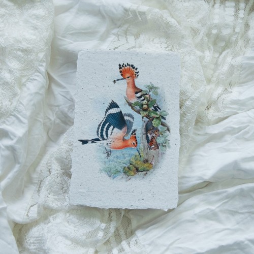 Printukas KUKUČIAI, 10x15