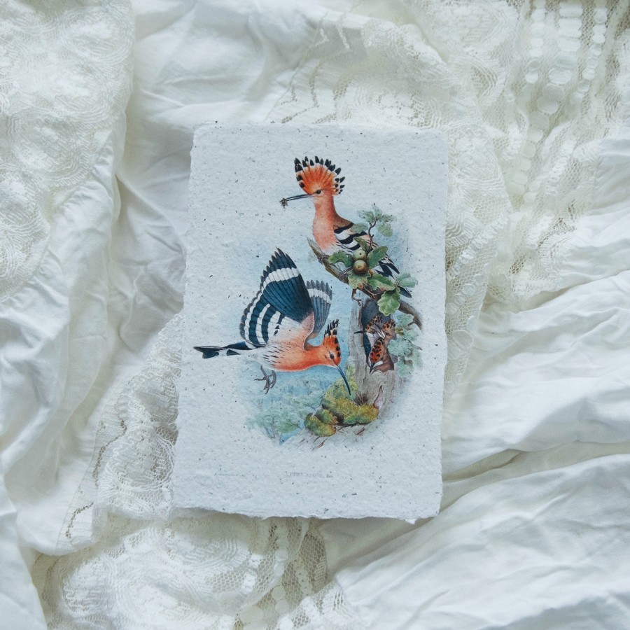 Printukas KUKUČIAI, 10x15 Printukas KUKUČIAI, 10x15
