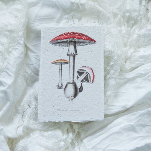 Printukas MUSMIRĖ, 10x15