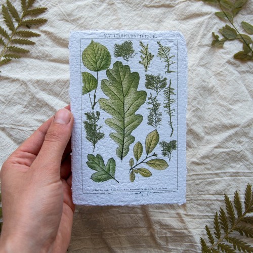 Printukas NATURSELBSTDRUCK, 10x15