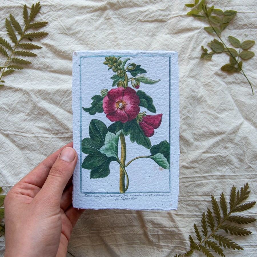 Printukas PILIAROŽĖ, 10x15