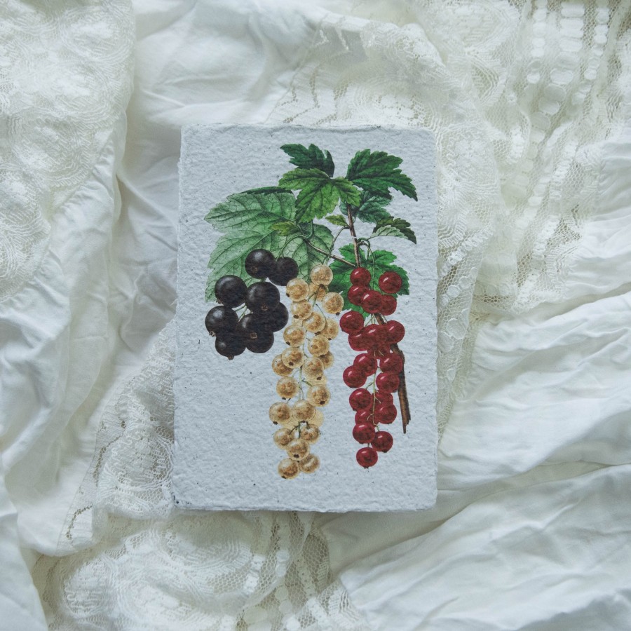 Printukas SERBENTAI, 10x15 Printukas SERBENTAI, 10x15
