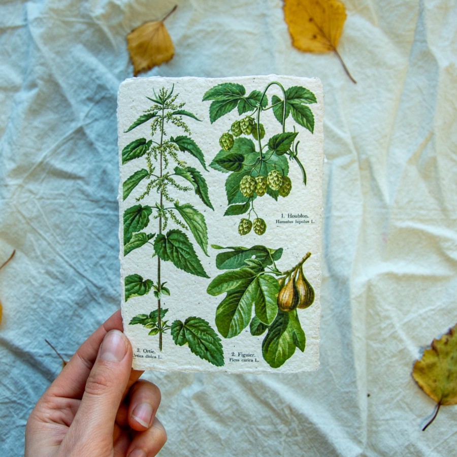 Printukas DILGĖLĖ IR APYNYS , 10x15 Printukas DILGĖLĖ IR APYNYS , 10x15