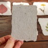 Džiovintų augalų kortelės ant perdirbto popieriaus, 6 vnt., 7x10 cm