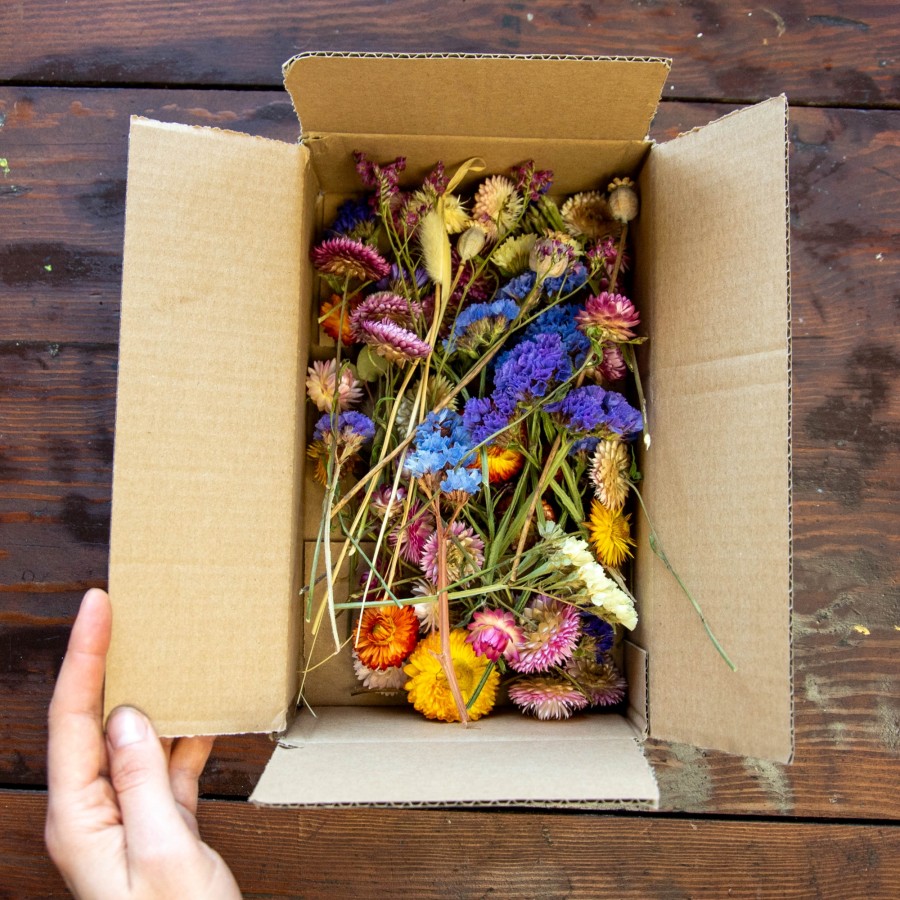 Džiovintų augalų rinkinys, I