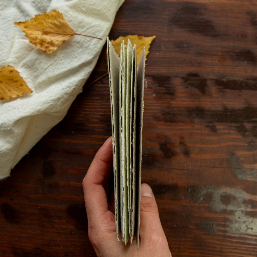 Popierius su augalais, 10x15, 9 vnt.