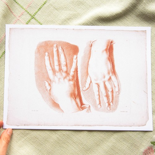 Printas DVI RANKOS, A4