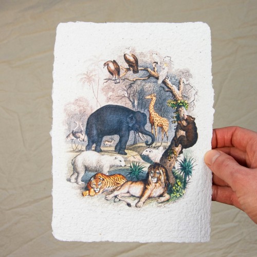 Printas GYVŪNAI, 15x21