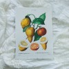 Printas KARČIAVAISIS CINTRINMEDIS, ~A4 Printas KARČIAVAISIS CINTRINMEDIS, ~A4