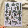 Printas MEDŽIAI, A4