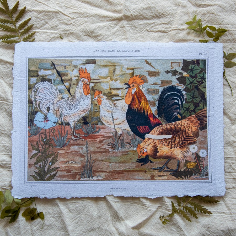 Printas VIŠTOS, ~A4