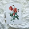 Printukas AGUONOS, 15x21 Printukas AGUONOS, 15x21
