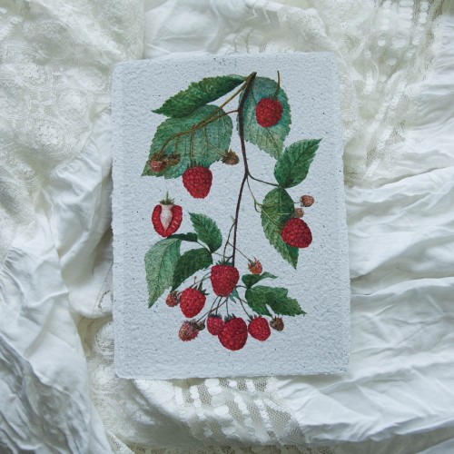 Printukas AVIETĖS, 15x21