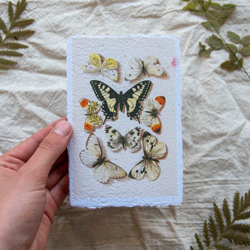 Printukas DRUGELIAI, 10x15