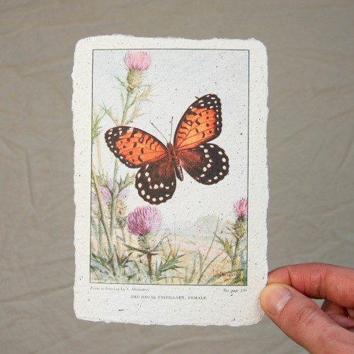 Printukas DRUGELIS, 10x15