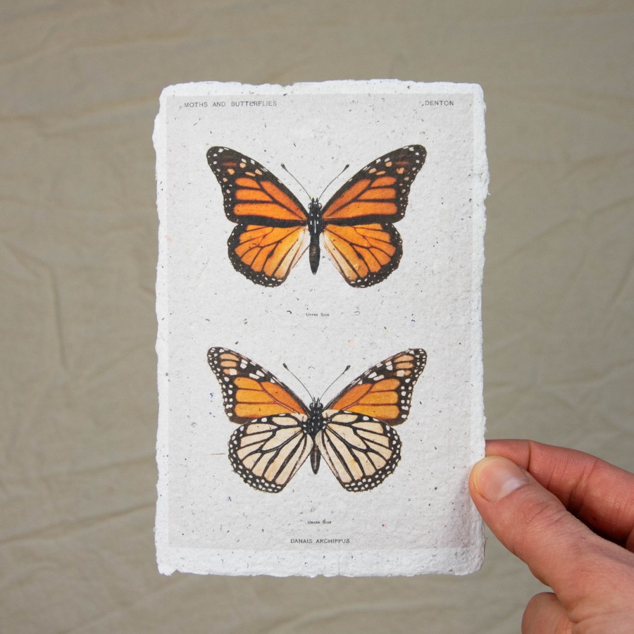 Printukas DRUGELIS MONARCHAS, 10x15