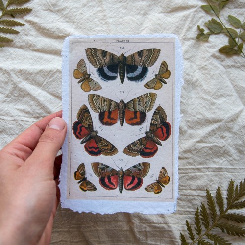 Printukas DRUGIAI, 10x15