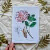 Printukas KRŪMINIS BIJŪNAS, A5
