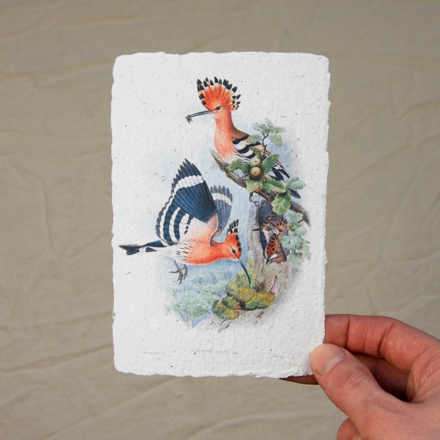 Printukas KUKUČIAI, 10x15