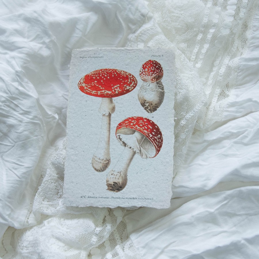 Printukas MUSMIRĖS, 10x15 Printukas MUSMIRĖS, 10x15
