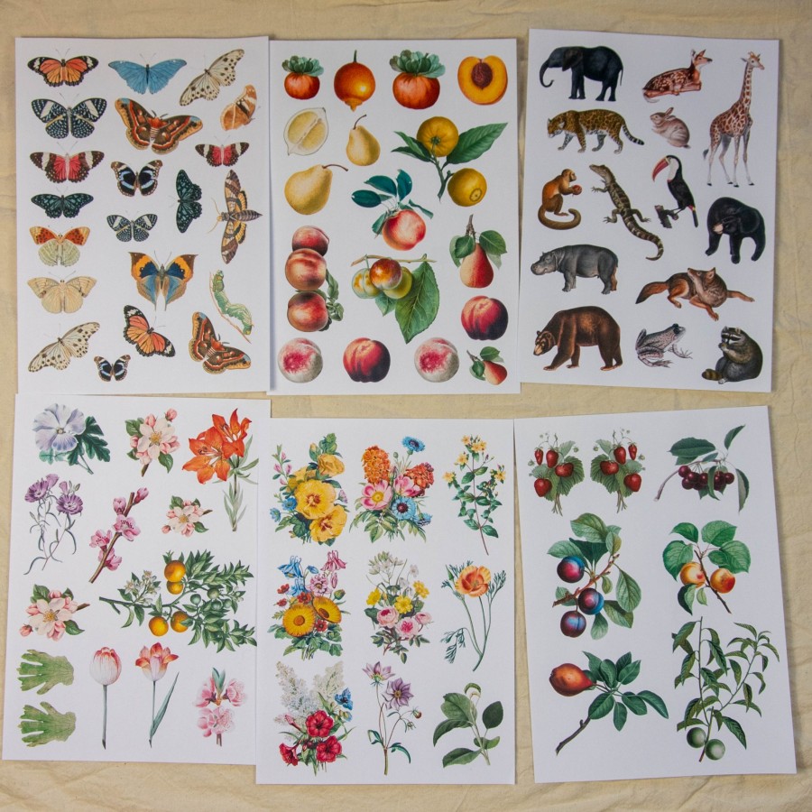 Rinkinys koliažui, I 