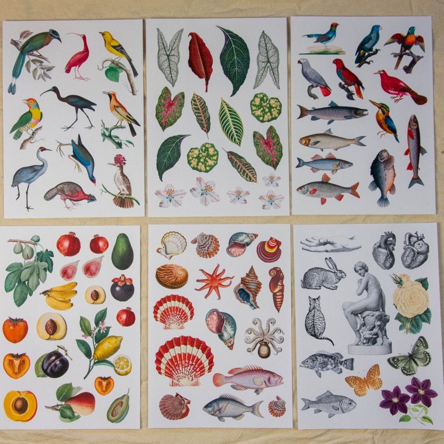 Rinkinys koliažui, I 