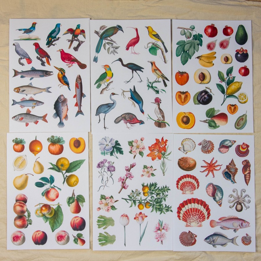 Rinkinys koliažui, II