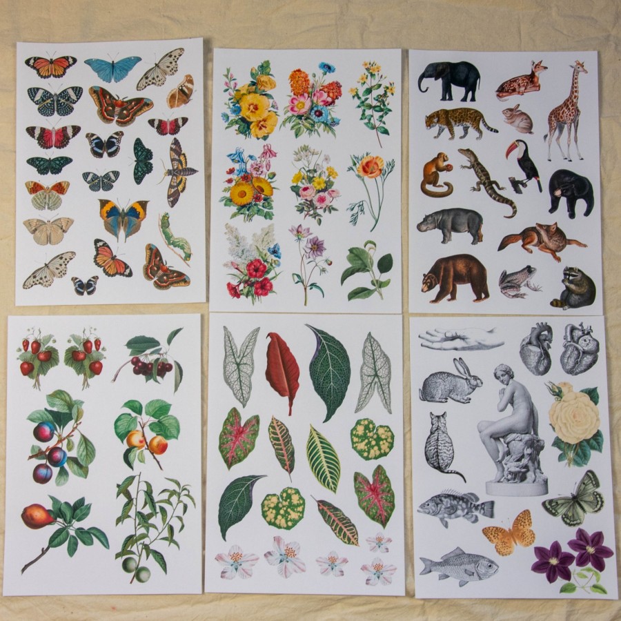 Rinkinys koliažui, II